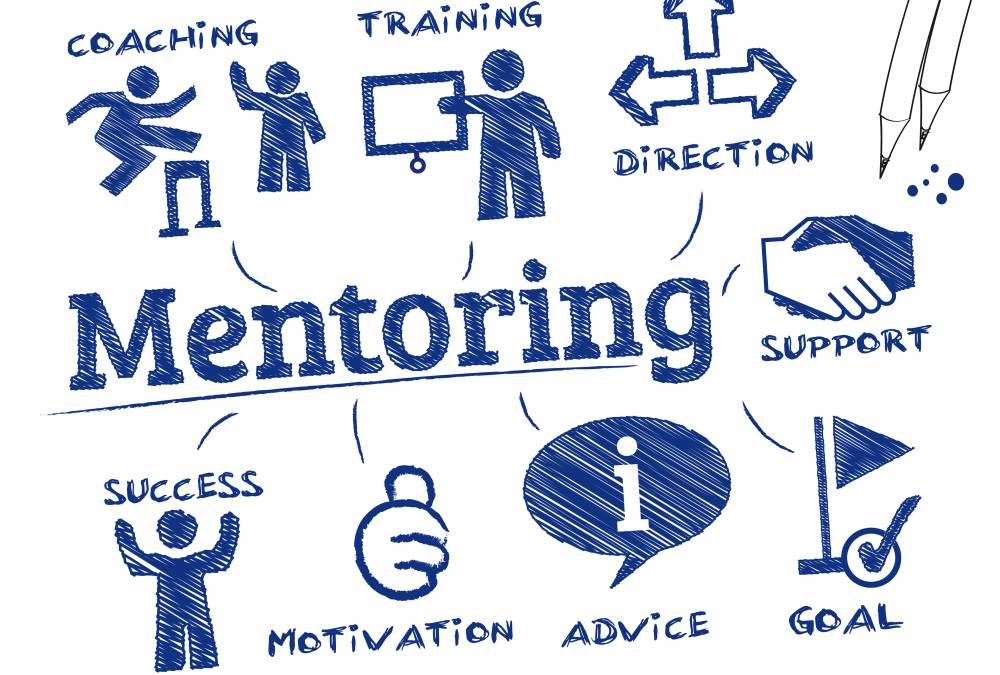 Effective mentorships in manufacturing